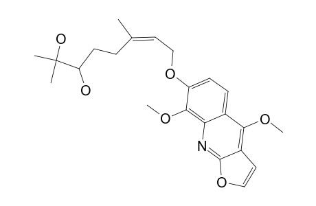 HAPLOTUBINE