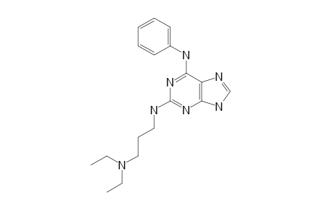 2-(N,N-DIETHYLAMINO-3-PROPYLAMINO)-6-PHENYLAMINO-PURINE