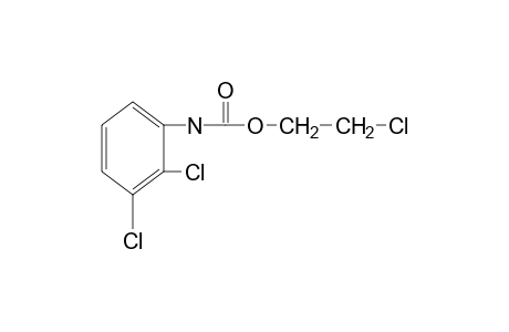 2,3-dichlorocarbanilic acid, 2-chloroethyl ester