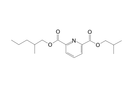 2,6-Pyridinedicarboxylic acid, isobutyl 2-methylpentyl ester