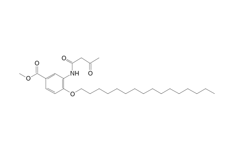 3-acetoacetamido-4-(hexadecyloxy)benzoic acid, methyl ester