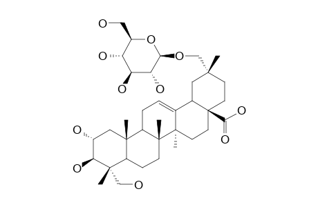 2ALPHA,3BETA,23,29-TETRAHYDROXYOLEAN-12-EN-28-OIC_ACID_29-O-BETA-D-GLUCO-PYRANOSIDE