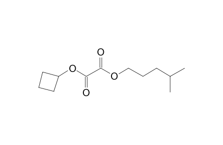 Oxalic acid, cyclobutyl isohexyl ester