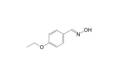 4-Ethoxybenzaldoxime