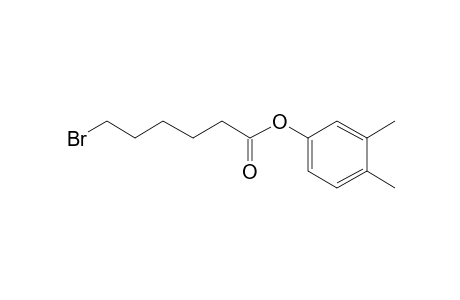 6-Bromohexanoic acid, 3,4-dimethylphenyl ester