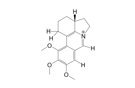 9,10,11-Trimethoxy-1,2,3,3a,4,5-hexahydropyrrolophenanthridinium Bromide