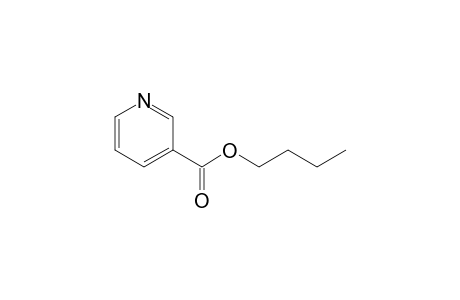 nicotinic acid, butyl ester