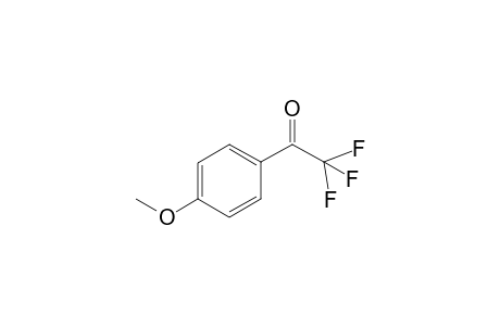 4'-methoxy-2,2,2-trifluoroacetophenone