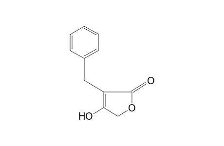 3-benzyl-4-hydroxy-2(5H)-furanone