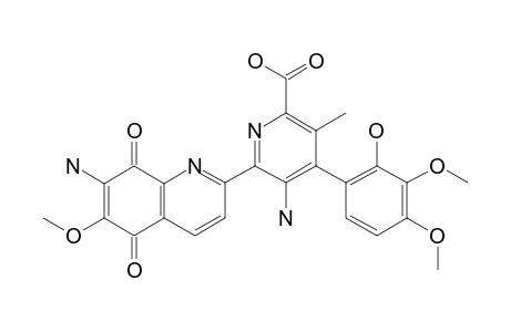 STREPTONIGRIN;5-AMINO-4-(2-HYDROXY-3,4-DIMETHOXYPHENYL)-6-[7-AMINO-6-METHOXY-5,8-DIOXO-5,8-DIHYDROQUINOLIN-2-YL]-3-METHYLPYRIDINE