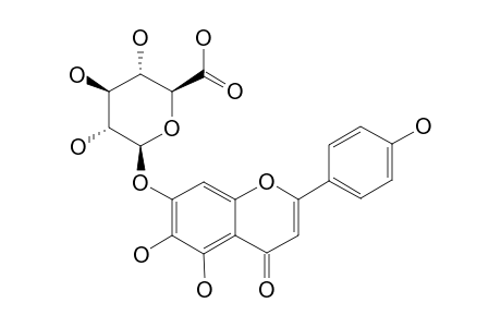 SCUTELLARIN