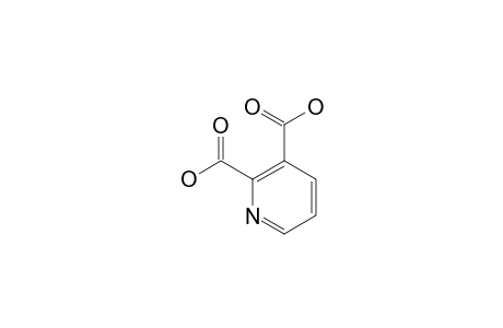 2,3-Pyridinedicarboxylic acid