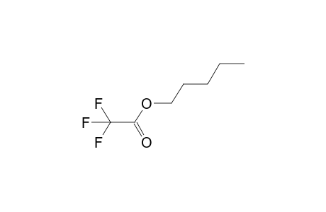 trifluoroacetic acid, pentyl ester