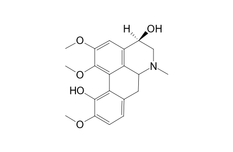 Rhopalotine