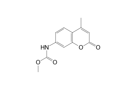 Methyl 4-methyl-2-oxo-2H-chromen-7-ylcarbamate