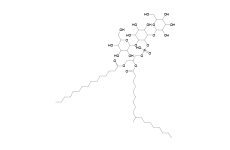 Ac2PIM2 18:0(methyl)_15:0