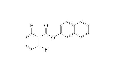 2,6-Difluorobenzoic acid, 2-naphthyl ester