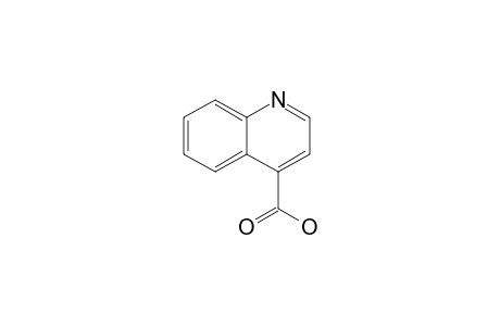 Quinoline-4-carboxylic acid