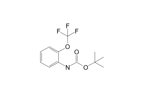 Tert-butyl N-[2-(trifluoromethoxy)phenyl]carbamate