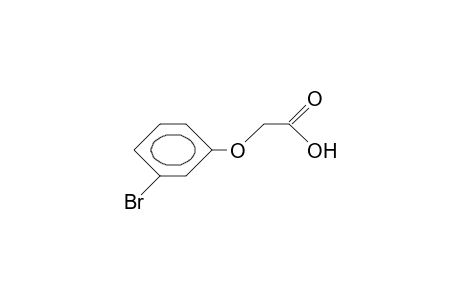 3-Bromo-phenoxy-acetic acid