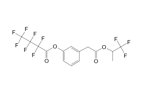 3-Hydroxyphenylacetic acid, o-heptafluorobutyryl-, 1,1,1-trifluoro-2-propyl ester