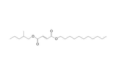 Fumaric acid, 2-methylpentyl undecyl ester