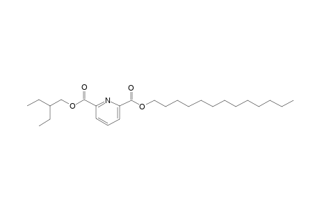 2,6-Pyridinedicarboxylic acid, 2-ethylbutyl tridecyl ester