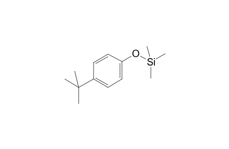 (4-tert-Butylphenoxy)(trimethyl)silane