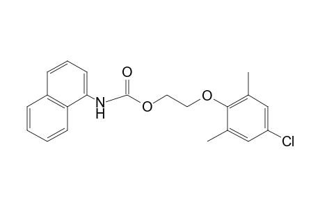 1-naphthalenecarbamic acid, 2-(4-chloro-2,6-xylyoxy)ethyl ester