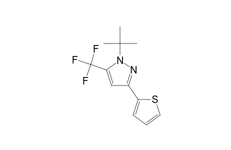 1-(1,1-Dimethylethyl)-3-(thien-2-yl)-5-trifluoromethyl-1H-pyrazole