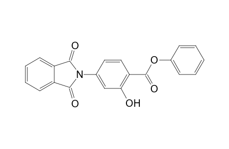 Phenyl 4-(1,3-dioxo-1,3-dihydro-2H-isoindol-2-yl)-2-hydroxybenzoate