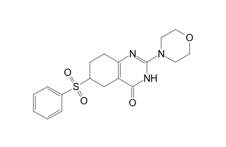 2-(MORPHOLIN-4-YL)-6-(PHENYLSULFONYL)-5,6,7,8-TETRAHYDRO-3H-QUINAZOLIN-4-ONE