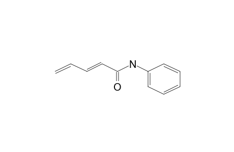 2,4-Pentadienamide, N-phenyl-