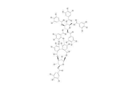 EUMACULIN_B