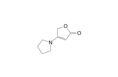 4-PYRROLIDINYL-BUT-2-ENOLIDE