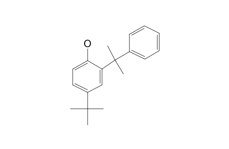 4-T-Butyl-2-(.alpha.,.alpha.dimethylbenzyl)phenol