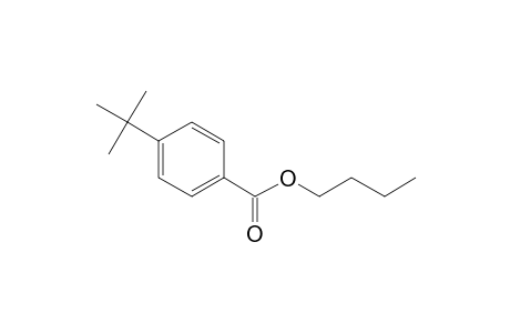 Benzoic acid, 4-tert-butyl-, butyl ester