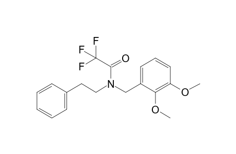 N-(2,3-dimethoxybenzyl)-2,2,2-trifluoro-N-phenethylacetamide