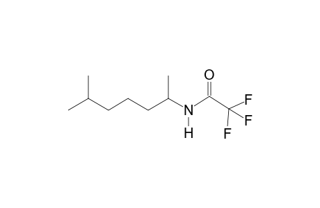 Octodrine TFA