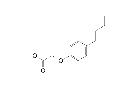 (p-Butylphenoxy)acetic acid