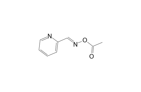 2-Pyridinecarboxaldehyde, o-acetyloxime, (E)-