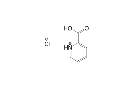 PICOLINIC ACID, HYDROCHLORIDE