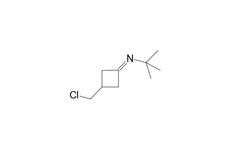 N-[3-(Chloromethyl)-1-cyclobutylidene)-tert-butylamine