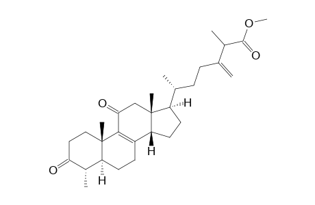 CAMPHORATIN_J;METHYL_3,11-DIOXO-4-ALPHA-METHYL-14-BETA-ERGOSTA-8,24-(28)-DIEN-26-OATE;EPIMER_1