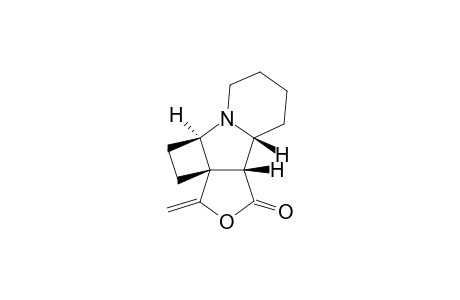 10-Methylene-8,9-ethylidene-7-aza-11-oxatricyclo[7.3.0.0(2,7)]dodecan-12-one