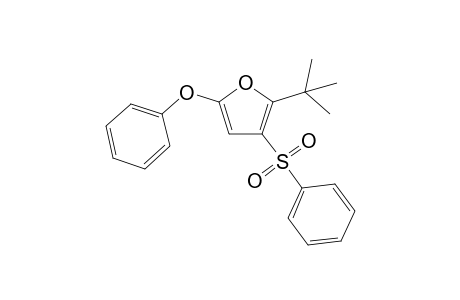 2-tert-Butyl-5-phenoxy-3-(phenylsulfonyl)furan