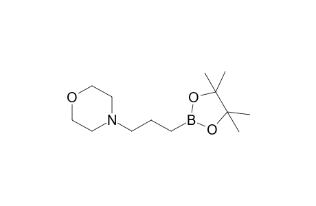 3-(4-Morpholinyl)propyl-1-boronic acid pinacol ester