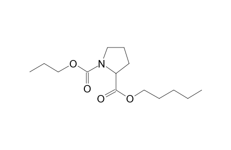 L-Proline, N-propoxycarbonyl-, pentyl ester