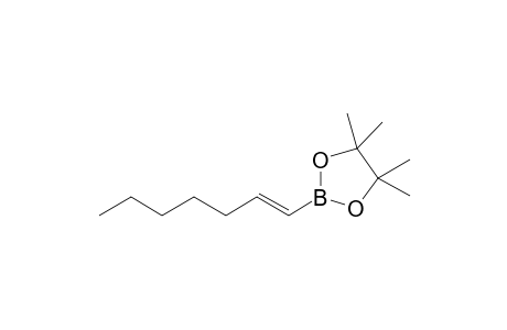 (E)-2-(hept-1'-en-1'-yl)-4,4,5,5-tetramethyl-1,3,2-dioxaborolane