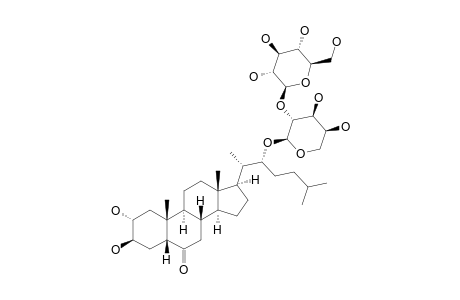 ALPHA-ECDYSONE;2-ALPHA,3-BETA-(22R)-TRIHYDROXY-CHOLESTAN-6-ONE-22-O-BETA-D-GLUCOPYRANOSYL-(1->2)-ALPHA-L-ARABINOPYRANOSIDE